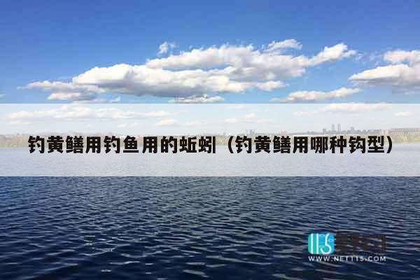 钓黄鳝用钓鱼用的蚯蚓（钓黄鳝用哪种钩型）