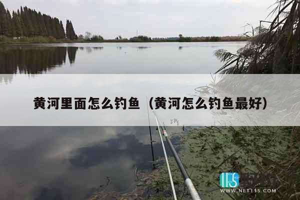 黄河里面怎么钓鱼（黄河怎么钓鱼最好）