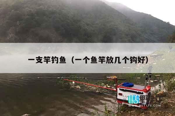 一支竿钓鱼（一个鱼竿放几个钩好）