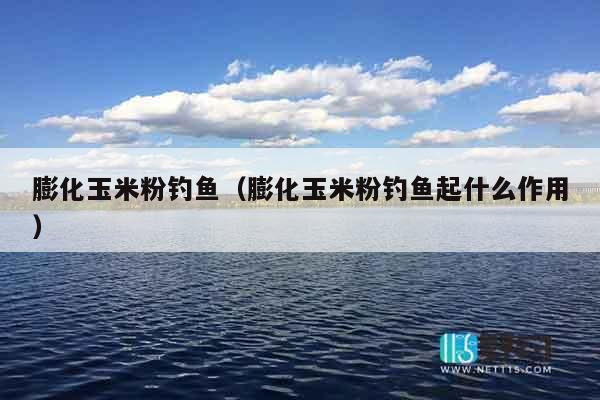 膨化玉米粉钓鱼（膨化玉米粉钓鱼起什么作用）