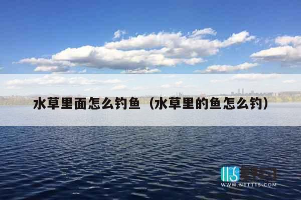 水草里面怎么钓鱼（水草里的鱼怎么钓）