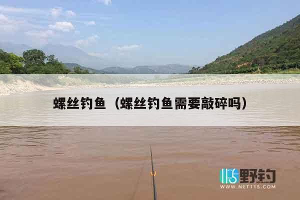 螺丝钓鱼（螺丝钓鱼需要敲碎吗）