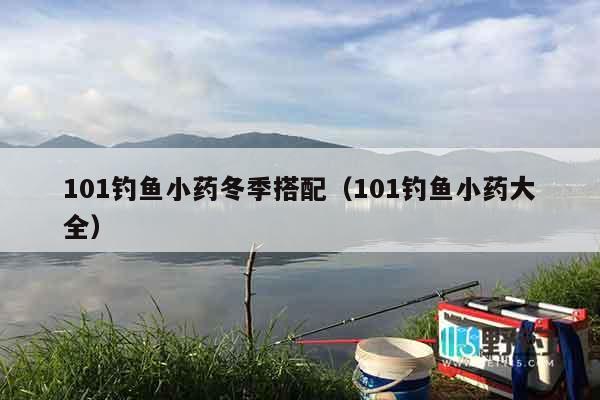 101钓鱼小药冬季搭配（101钓鱼小药大全）