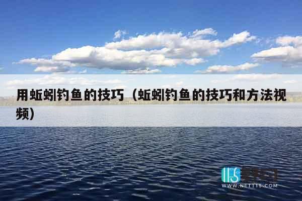 用蚯蚓钓鱼的技巧（蚯蚓钓鱼的技巧和方法视频）
