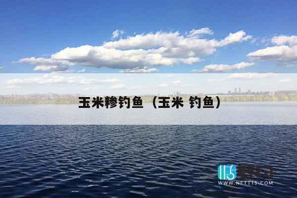 玉米糁钓鱼（玉米 钓鱼）