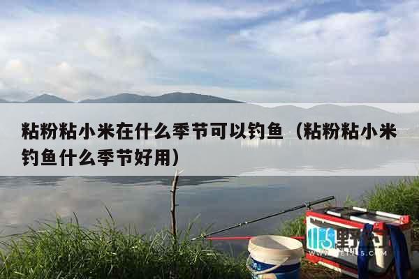 粘粉粘小米在什么季节可以钓鱼（粘粉粘小米钓鱼什么季节好用）
