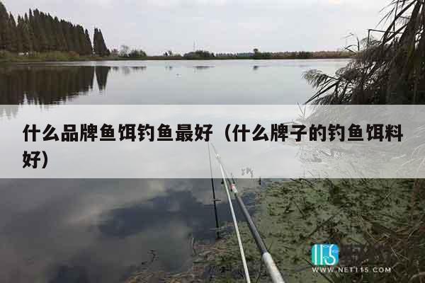 什么品牌鱼饵钓鱼最好（什么牌子的钓鱼饵料好）