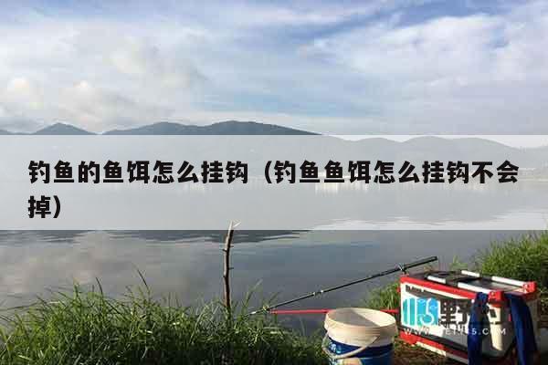 钓鱼的鱼饵怎么挂钩（钓鱼鱼饵怎么挂钩不会掉）