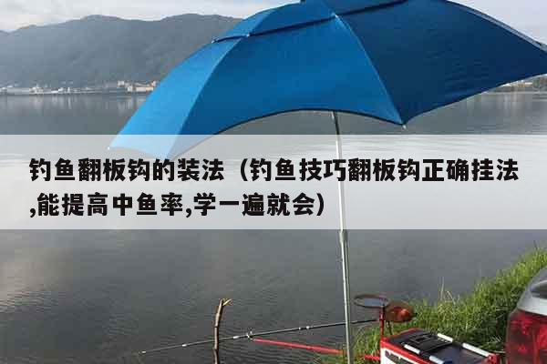 钓鱼翻板钩的装法（钓鱼技巧翻板钩正确挂法,能提高中鱼率,学一遍就会）