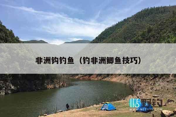 非洲钩钓鱼（钓非洲鲫鱼技巧）