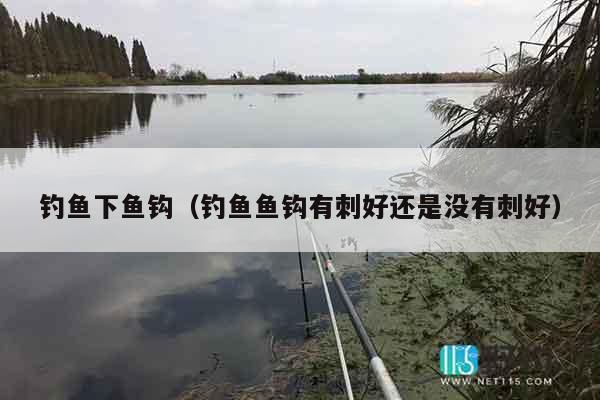 钓鱼下鱼钩（钓鱼鱼钩有刺好还是没有刺好）