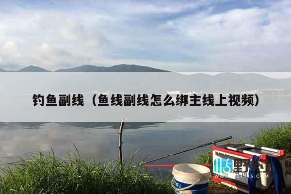 钓鱼副线（鱼线副线怎么绑主线上视频）