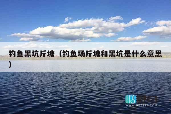 钓鱼黑坑斤塘（钓鱼场斤塘和黑坑是什么意思）