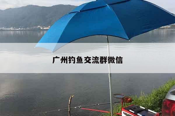 广州钓鱼交流群微信