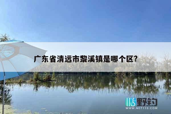 广东省清远市黎溪镇是哪个区?