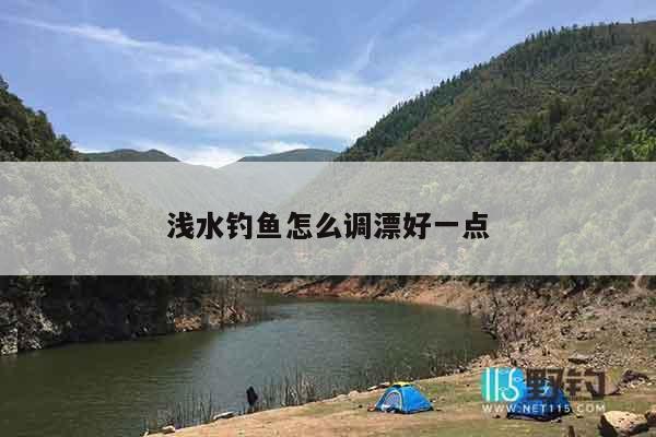 浅水钓鱼怎么调漂好一点