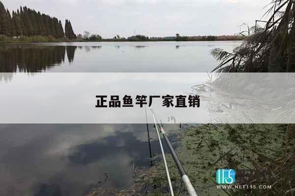 正品鱼竿厂家直销