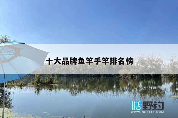 十大品牌鱼竿手竿排名榜