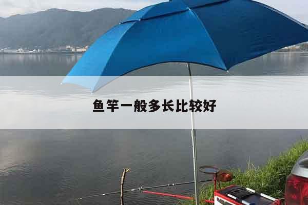 鱼竿一般多长比较好