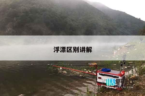 浮漂区别讲解