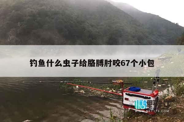 钓鱼什么虫子给胳膊肘咬67个小包