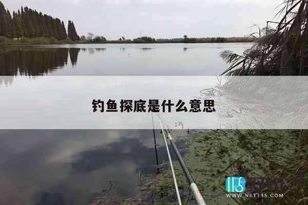 钓鱼探底是什么意思