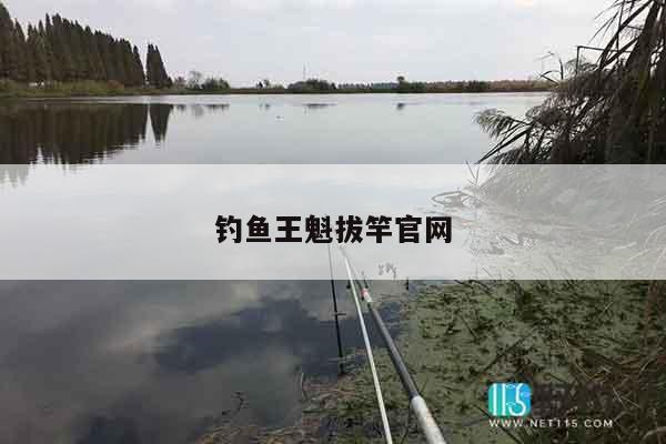 钓鱼王魁拔竿官网