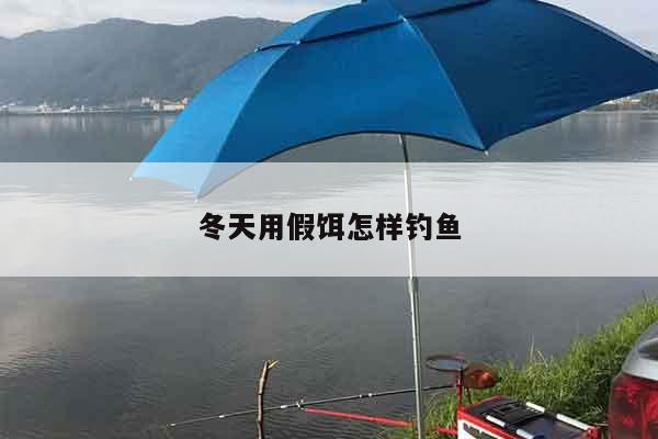 冬天用假饵怎样钓鱼