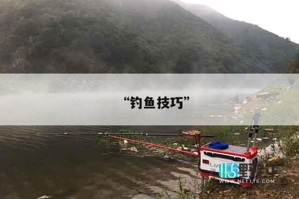 “钓鱼技巧”