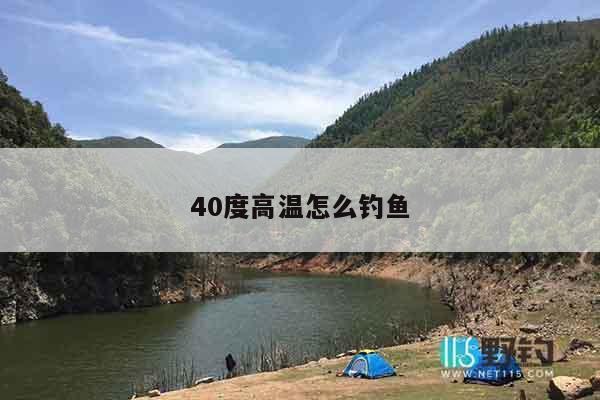 40度高温怎么钓鱼