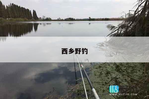 西乡野钓