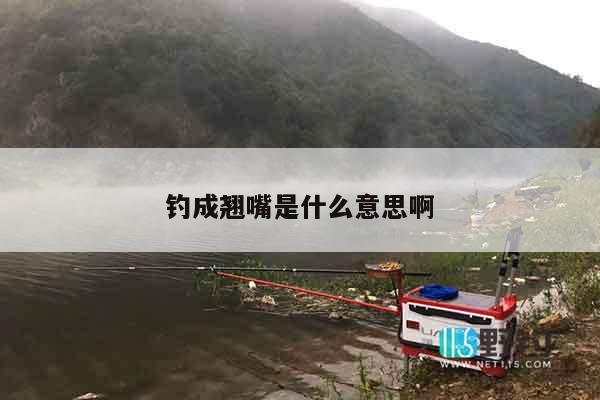 钓成翘嘴是什么意思啊