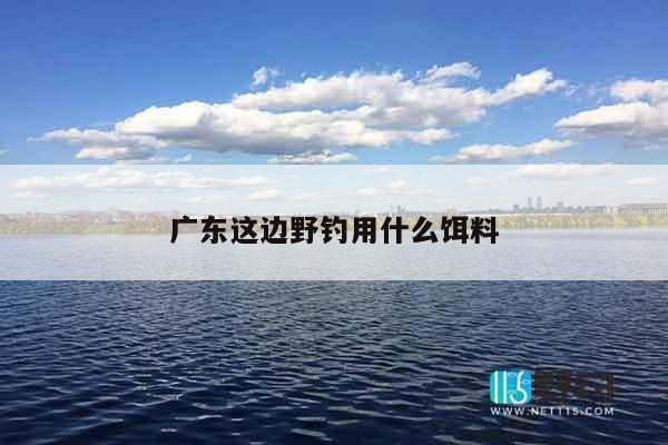 广东这边野钓用什么饵料