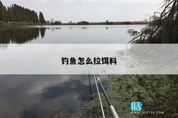 钓鱼怎么拉饵料