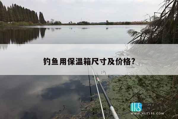 钓鱼用保温箱尺寸及价格?