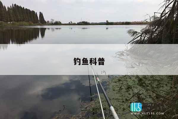 钓鱼科普