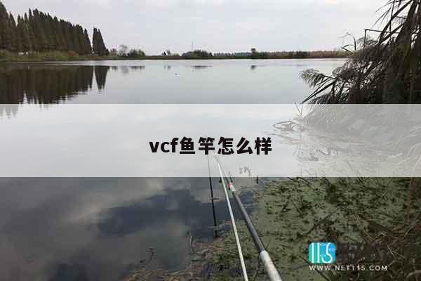 vcf鱼竿怎么样