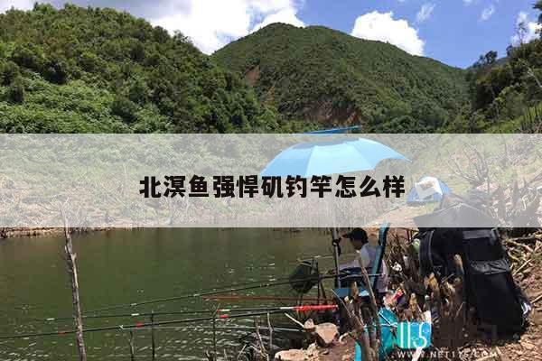 北溟鱼强悍矶钓竿怎么样