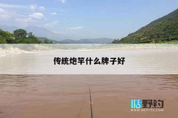 传统炮竿什么牌子好