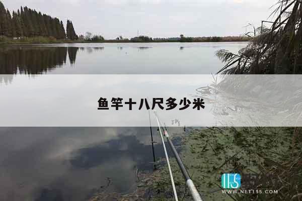 鱼竿十八尺多少米