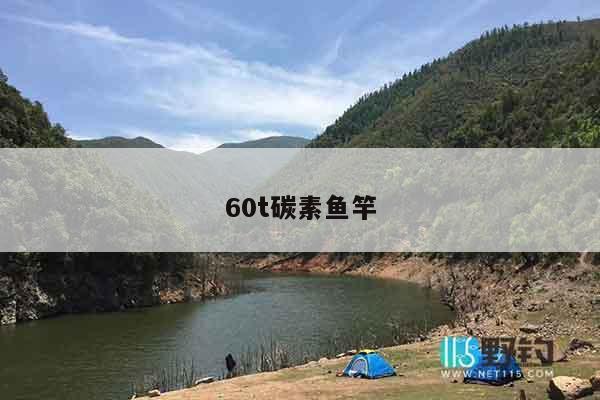60t碳素鱼竿
