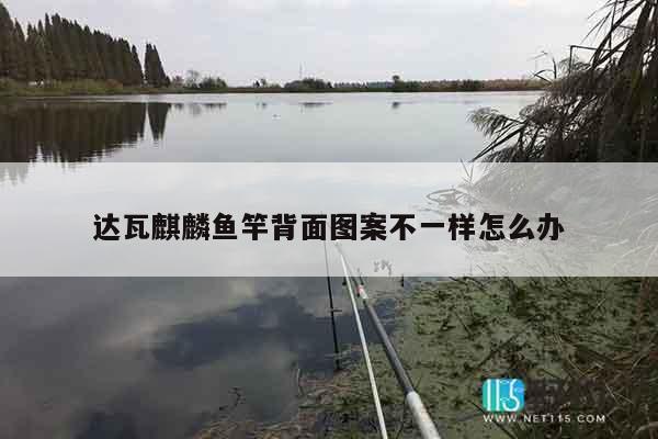 达瓦麒麟鱼竿背面图案不一样怎么办