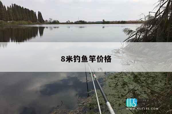 8米钓鱼竿价格