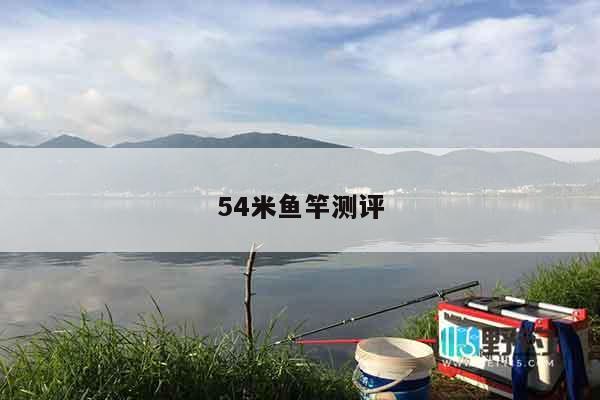 54米鱼竿测评
