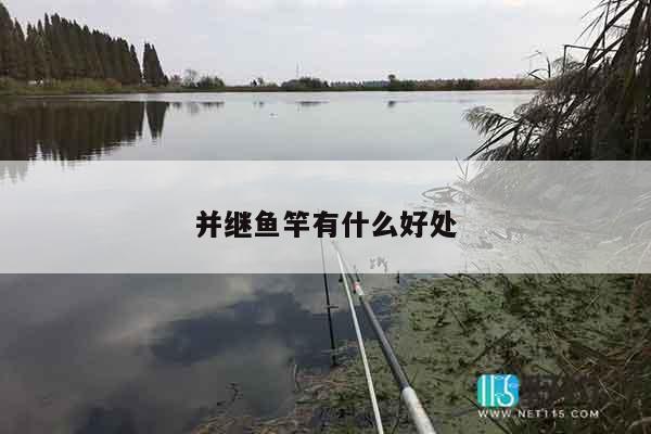 并继鱼竿有什么好处