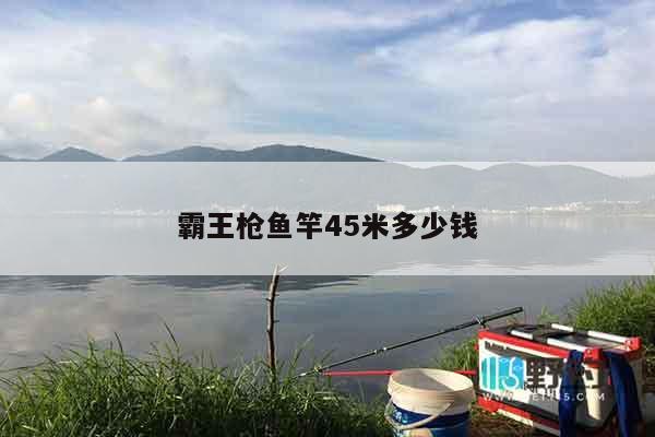 霸王枪鱼竿45米多少钱