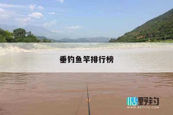 垂钓鱼竿排行榜