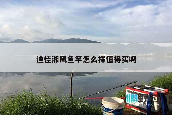 迪佳湘风鱼竿怎么样值得买吗