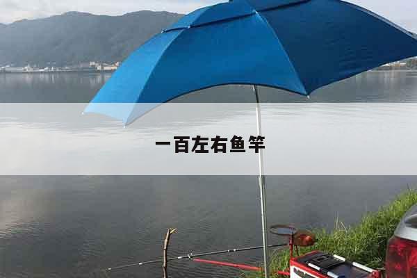 一百左右鱼竿