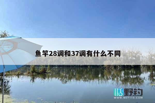 鱼竿28调和37调有什么不同